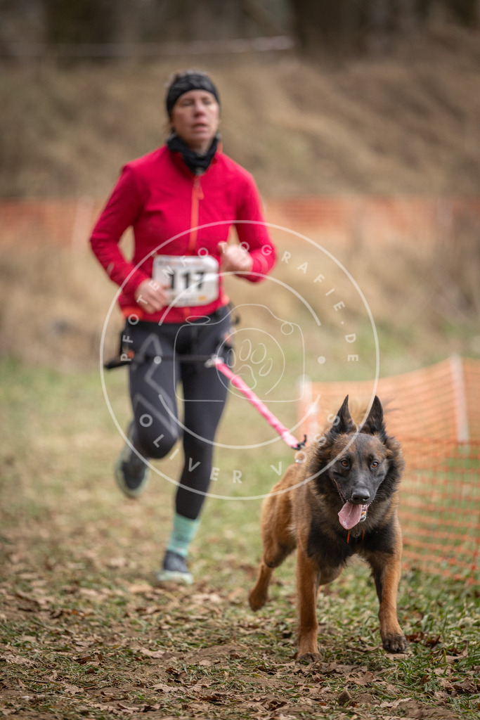 Pfotenfotografie_DV3A7634 | Hundefotografie, Tierfotograf, Pfotenfotografie, Fotoshooting Hund, Hunde Portrait, Hundesport, Hundeportraits, Heideshooting, Hunde, Sportfotograf, Hundefotograf, Turnierhundsport, THS,  - Realisiert mit Pictrs.com