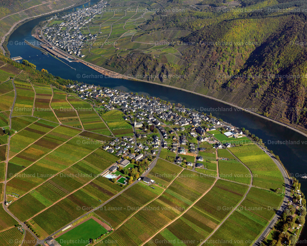 3196677 | Weinberge an der Mosel bei Poltersdorf