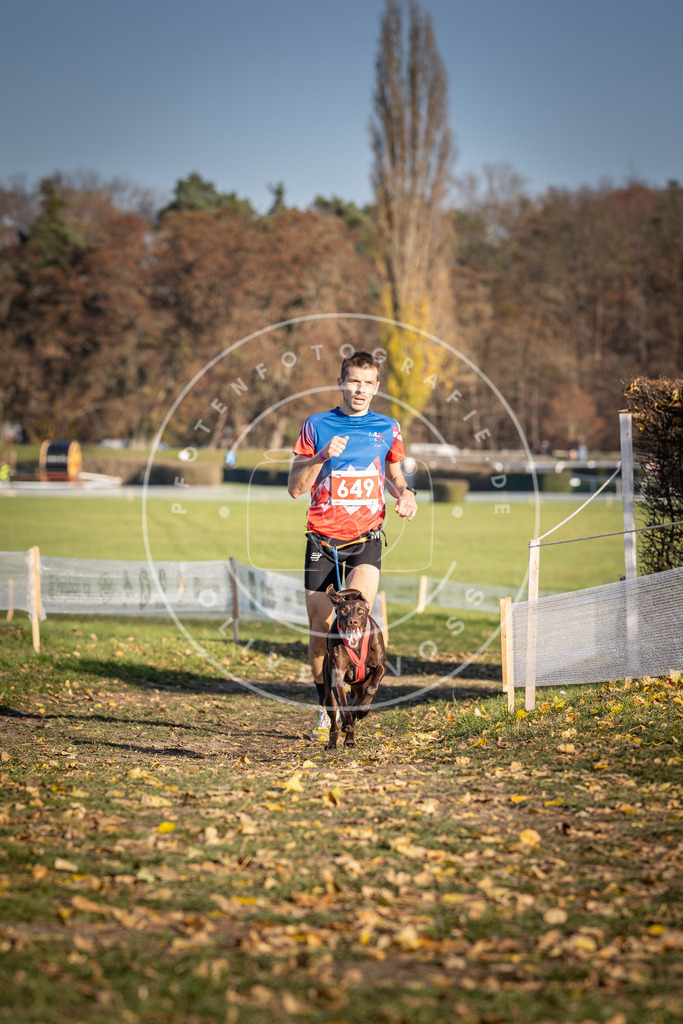 CaniXpix_DV3A0449 | Hundefotografie, Tierfotograf, Pfotenfotografie, Fotoshooting Hund, Hunde Portrait, Hundesport, Hundeportraits, Heideshooting, Hunde, Sportfotograf, Hundefotograf, Turnierhundsport, THS,  - Realisiert mit Pictrs.com