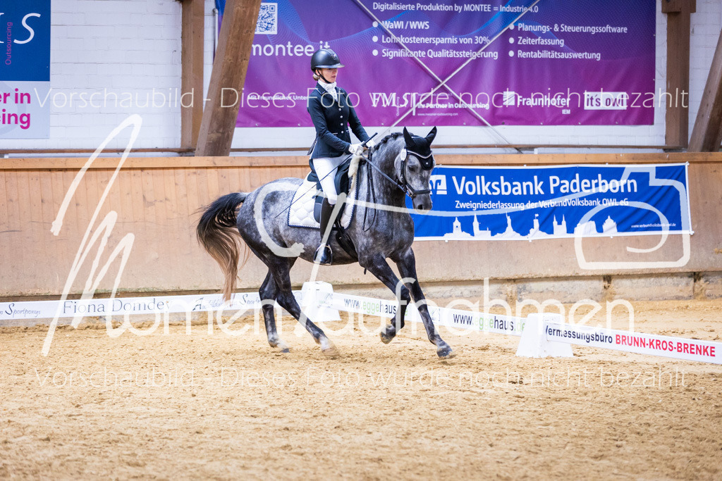 Sth-A-Dre-2St-189 | MomenTaufnahmen Pferdesportfotos