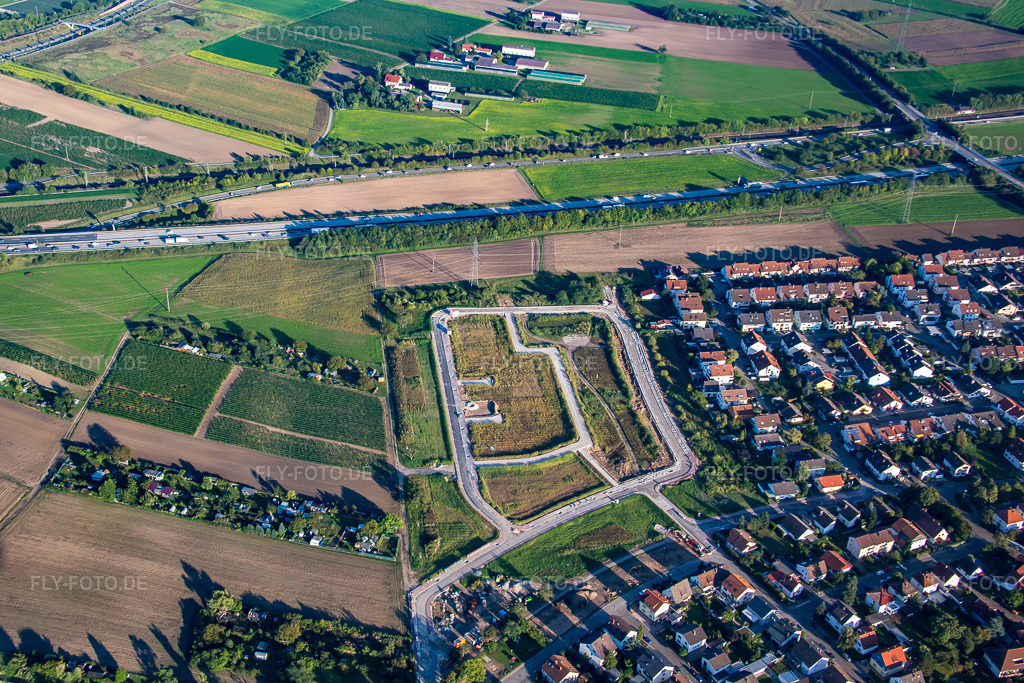 Luftbild: Neubaugebiet Otto-Hahn-Straße in Brühl im Bundesland Baden-Württemberg in Deutschland. Foto: IMG_073027.jpg vom 23.09.2014 durch Werner Riehm/FLY-FOTO.de