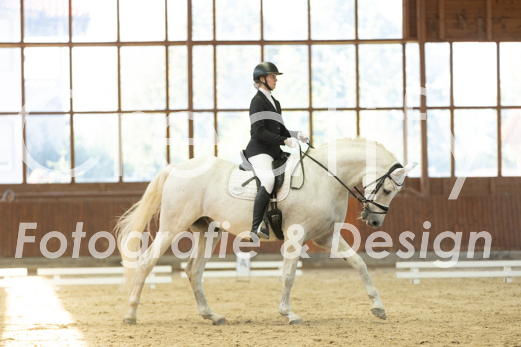 IMG_9787 | Creatify Fotografie