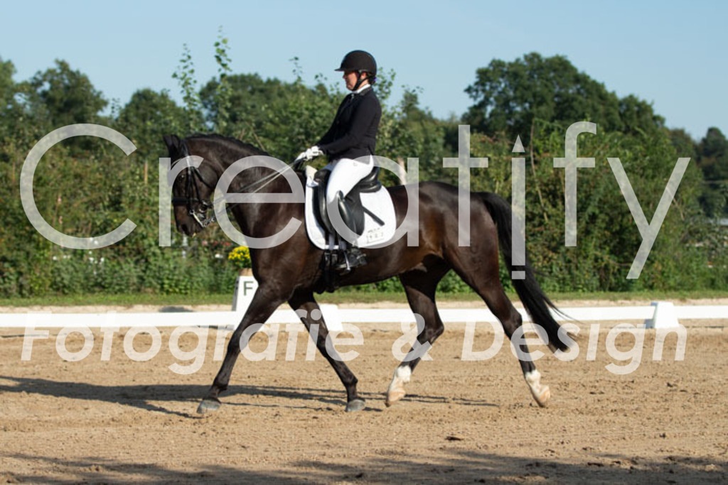 IMG_0866 | Creatify Fotografie