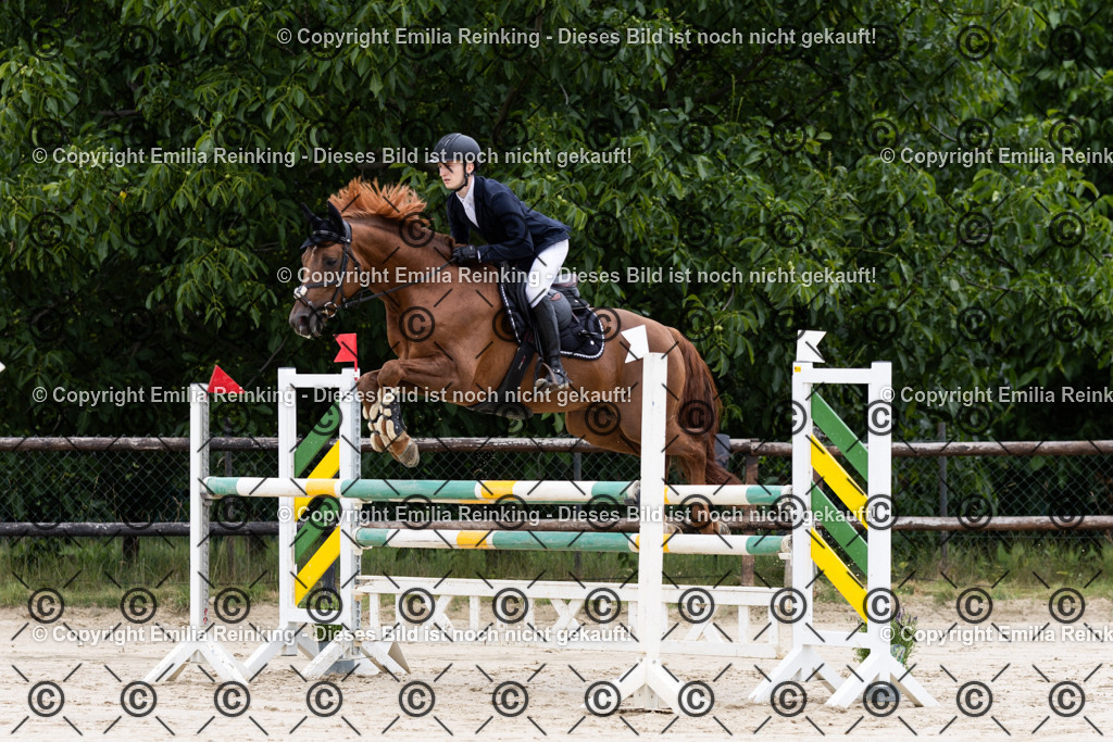 CL5A5358 | Emilia Reinking Fotografie - Realisiert mit Pictrs.com