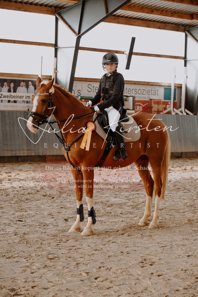 DSC_7502 | Pferde- und Turnierfotografie in Westsachsen. Pferdeportraits, Auftragszeichnungen und intuitive Kunst.