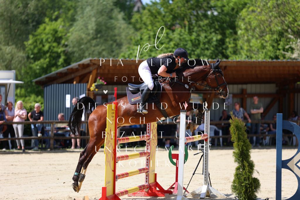 IMGS9718 | pl-fotografie