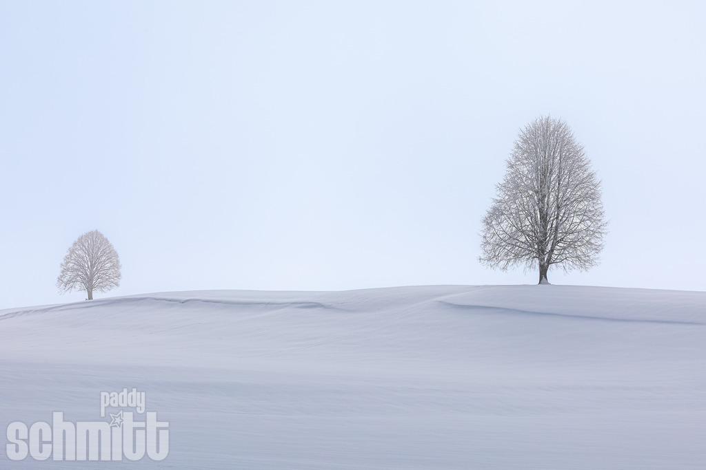 PS-Winter-2026-58 | Entdecke die größte Bildgalerie der Region mit Fotografien aus dem Allgäu, der Bodenseeregion, Oberschwaben, dem Donautal und der Schwäbischen Alb. Landschaften, Luftaufnahmen und Reisefotografie als Wandbild und Fotokunst. - Realisiert mit Pictrs.com