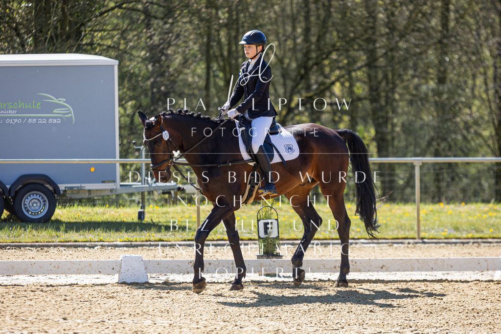 IMGT0451 | pl-fotografie