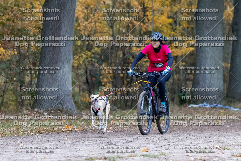 Dog Paparazzi - SD CaniX Championship 2025-253 | Dog Paparazzi Jeanette Grottendiek Fotografie & Videografie - Realisiert mit Pictrs.com