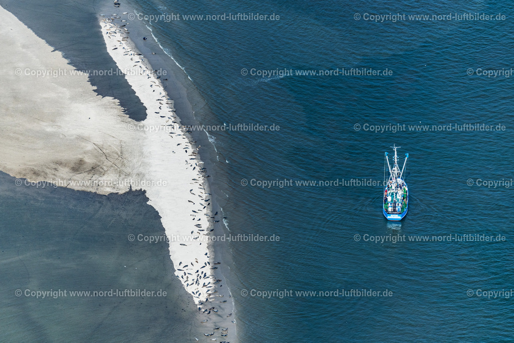 Langeoog_Seehundbänke_Robbenbänke_Krabbenkutter_ELS_8411050923 | LANGEOOG 05.09.2023 Seehund und Robben Bank in der Wattenmeerlandschaft am Oststrand auf der Insel Langeoog mit einen Krabbenkutter im Bundesland Niedersachsen, Deutschland. // Seal and seal bank in the Wadden Sea landscape on the eastern beach on the island of Langeoog with a shrimp boat in the state of Lower Saxony, Germany. Foto: Martin Elsen