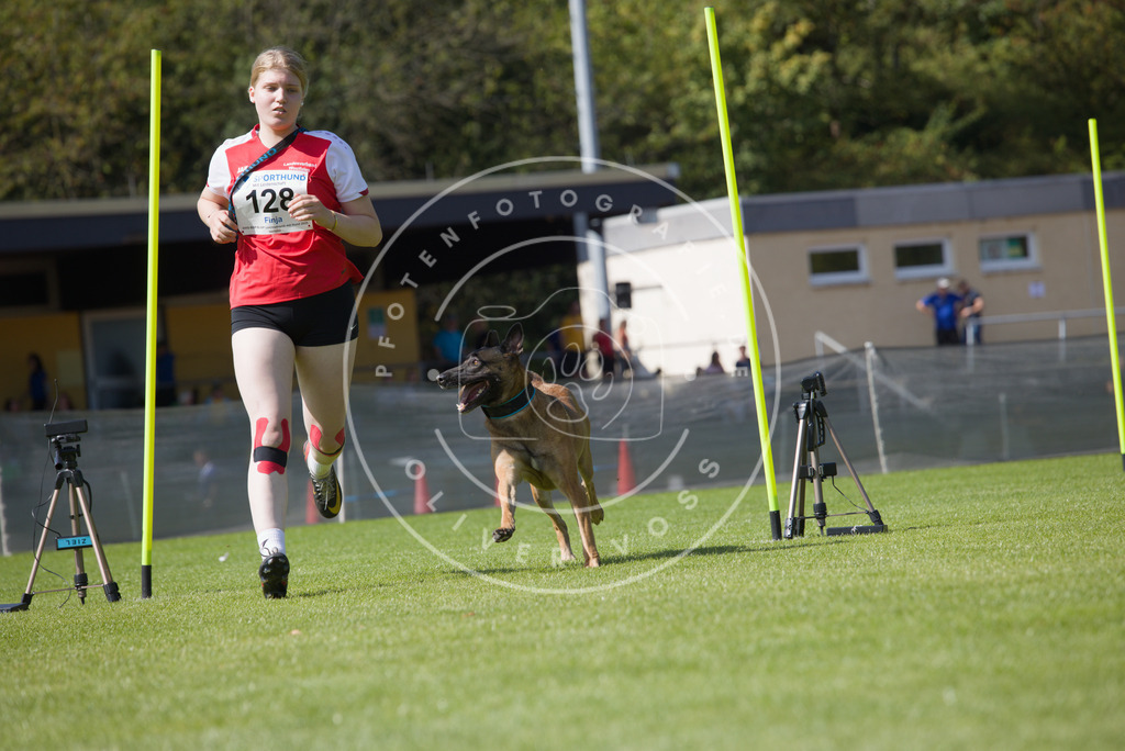 0L8A2896 | Hundefotografie, Tierfotograf, Pfotenfotografie, Fotoshooting Hund, Hunde Portrait, Hundesport, Hundeportraits, Heideshooting, Hunde, Sportfotograf, Hundefotograf, Turnierhundsport, THS,  - Realisiert mit Pictrs.com