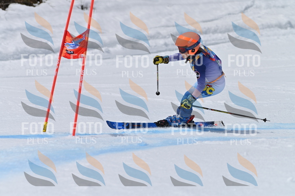 BGV_7078 | holidayphoto