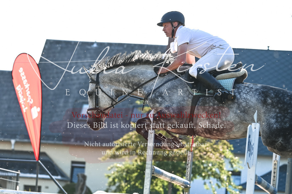 DSC_3097 | Pferde- und Turnierfotografie in Westsachsen. Pferdeportraits, Auftragszeichnungen und intuitive Kunst.
