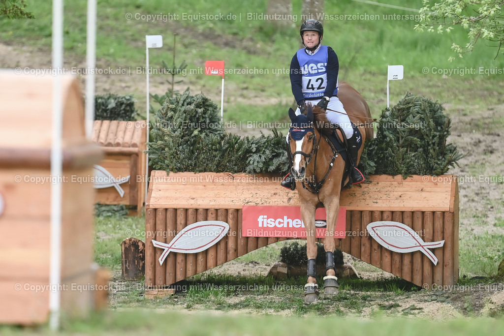 20230513_CCI4_Gelände_0513 | equistock