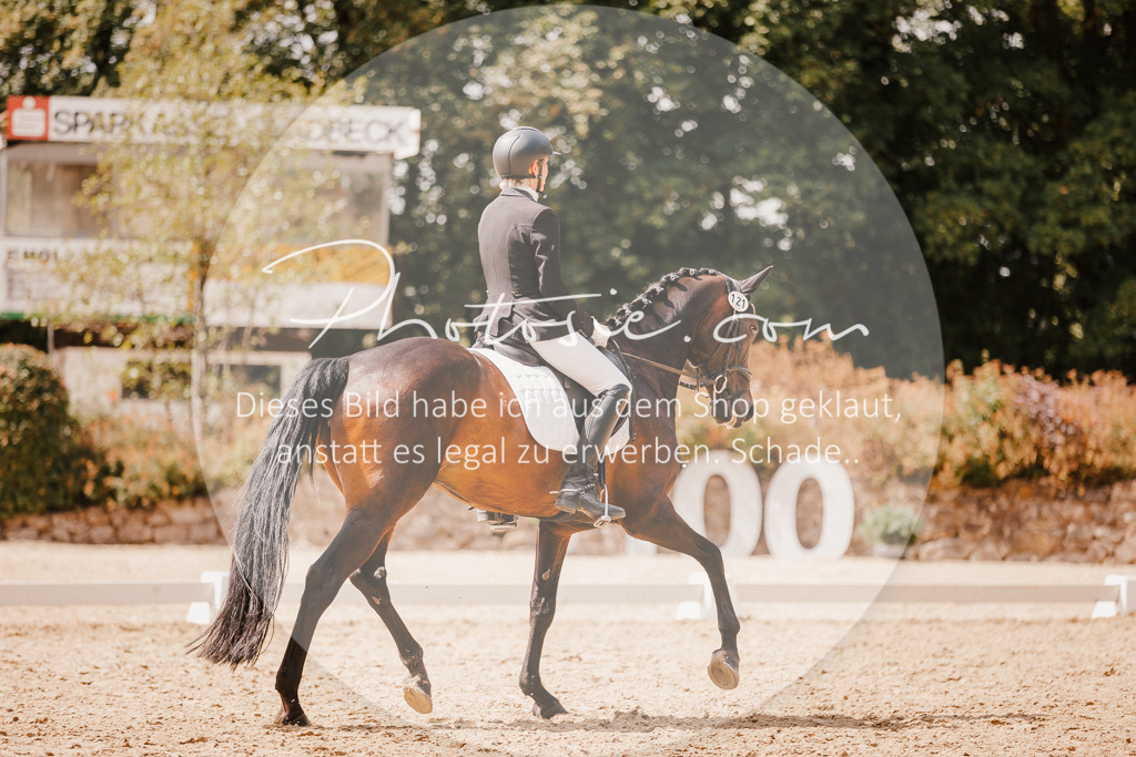 3I6A6254 | Stimmungsvolle Portraits und Reitsportfotografie im Ruhrgebiet und im Münsterland.

Pferdefotografie, Hundefotografie, Tierfotografie, Reportagen, Portraits von Tier und Mensch, Turnierfotografie in Bochum, Recklinghausen, Marl, Haltern am See, Dülmen.. - Realisiert mit Pictrs.com