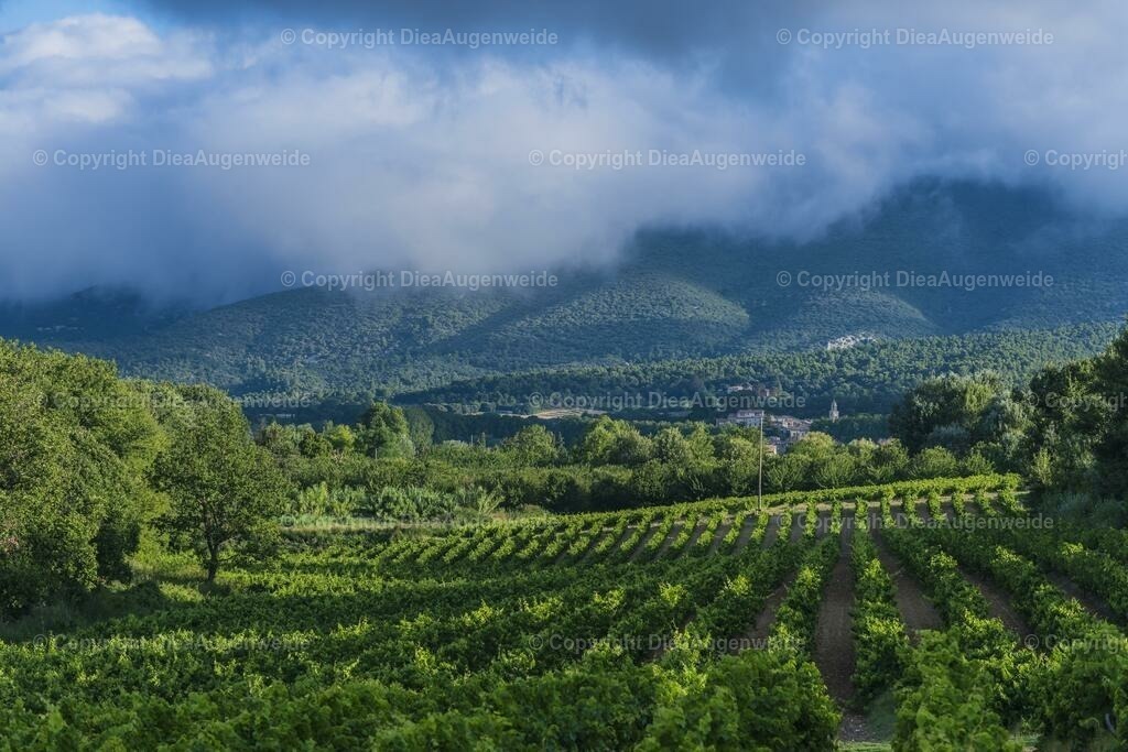 _DSC8951 | DieAugenweide Galerie, Bilder von Fotograf Ralf-Udo Thiele. Auswählen und bestellen auf verschiedenen Materialien und Größen. - Realisiert mit Pictrs.com