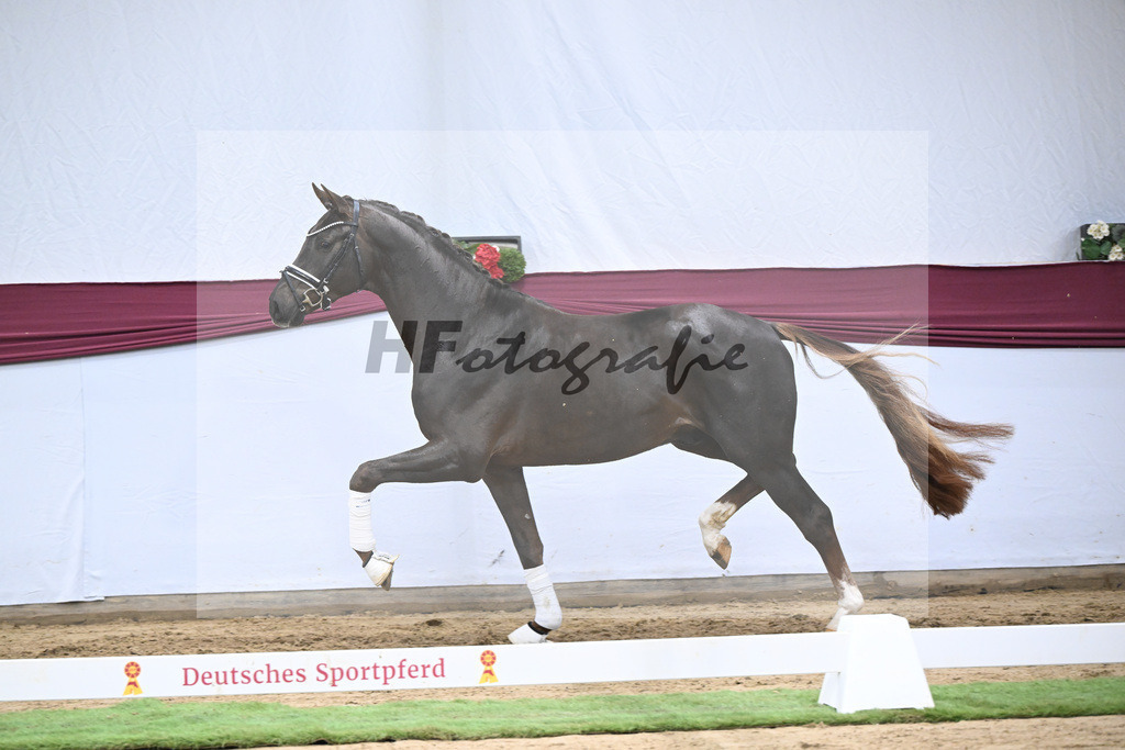 Kat-Nr. 126 Va Bene x Fuerst Jazz_Johannes Gaab_47254179 | hf-fotografie - Realisiert mit Pictrs.com