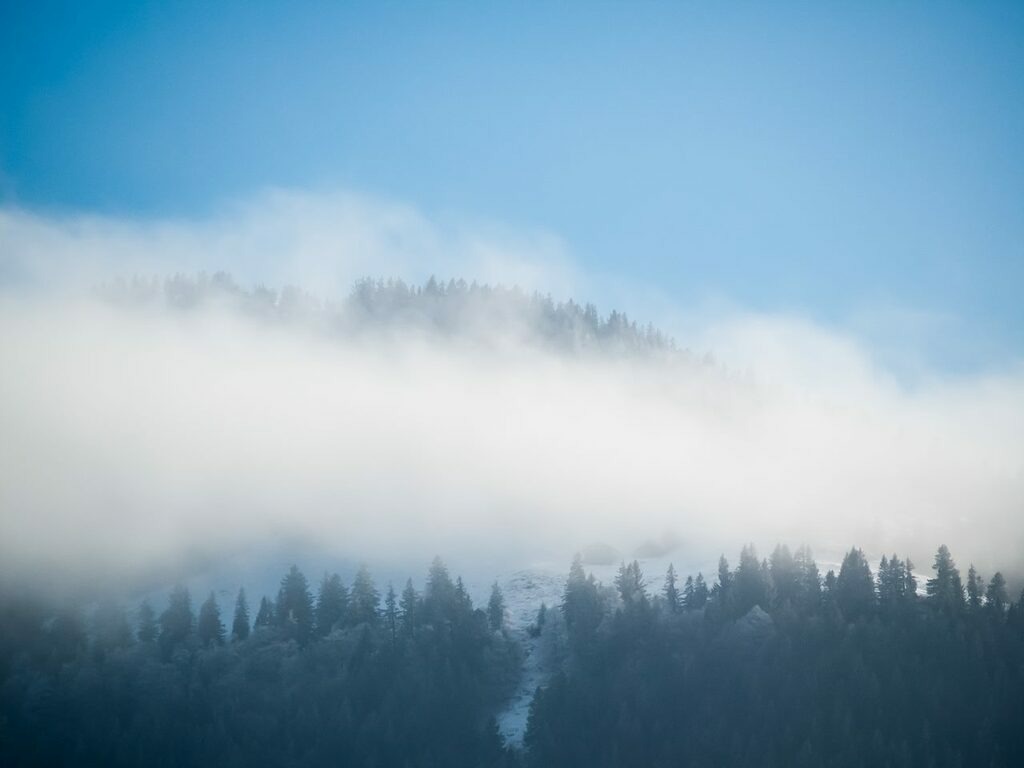 PSX_20221208_230102 | mtkfoto_ - Realisiert mit Pictrs.com