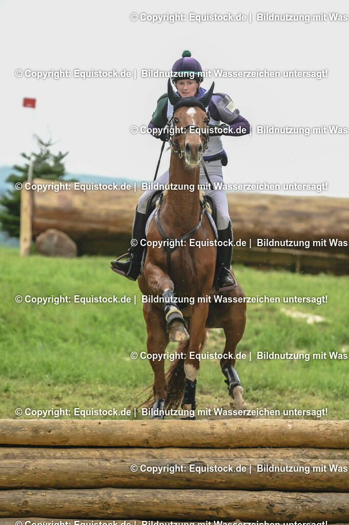 20230513_CCI2_Section2_Gelände_0155 | equistock