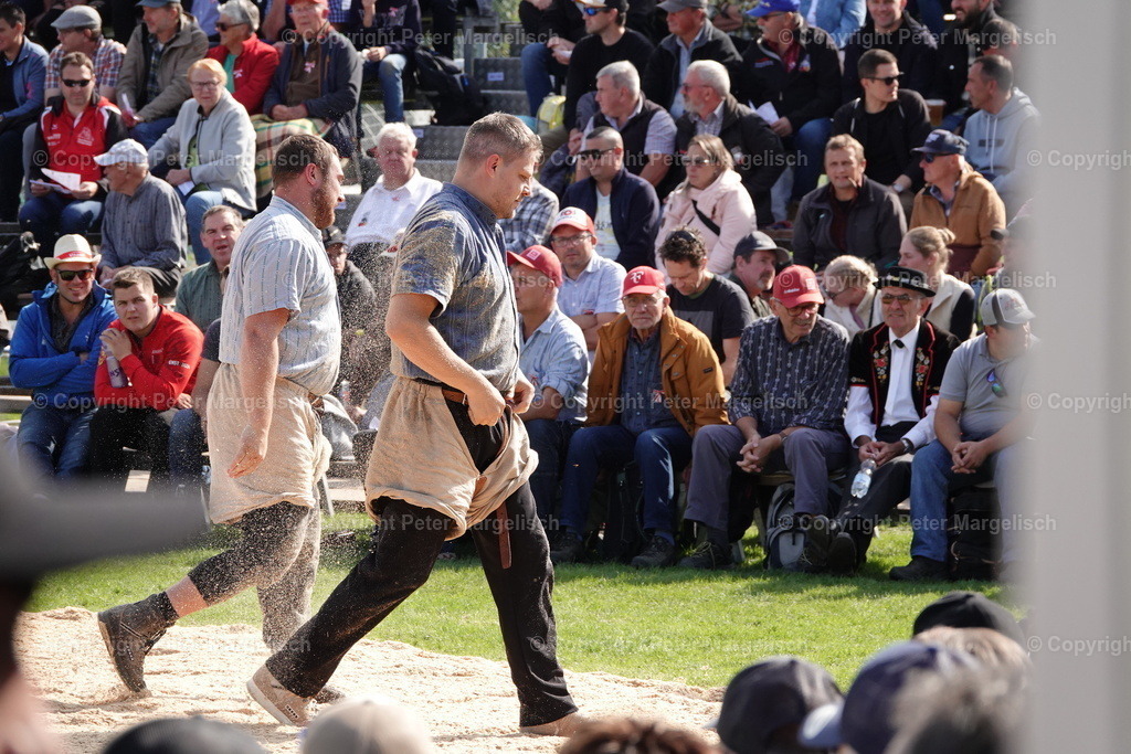 DSC01994 | Schwingen - Realisiert mit Pictrs.com