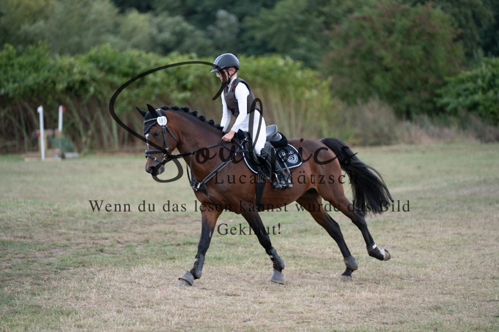 A7V01442 | Pferdefotograf