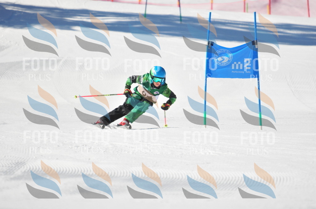 C3122 | holidayphoto