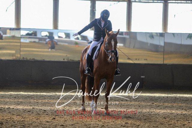 IMG_2478 | Turniersportfotografie; Pferdefotografie; Dressurfotografie