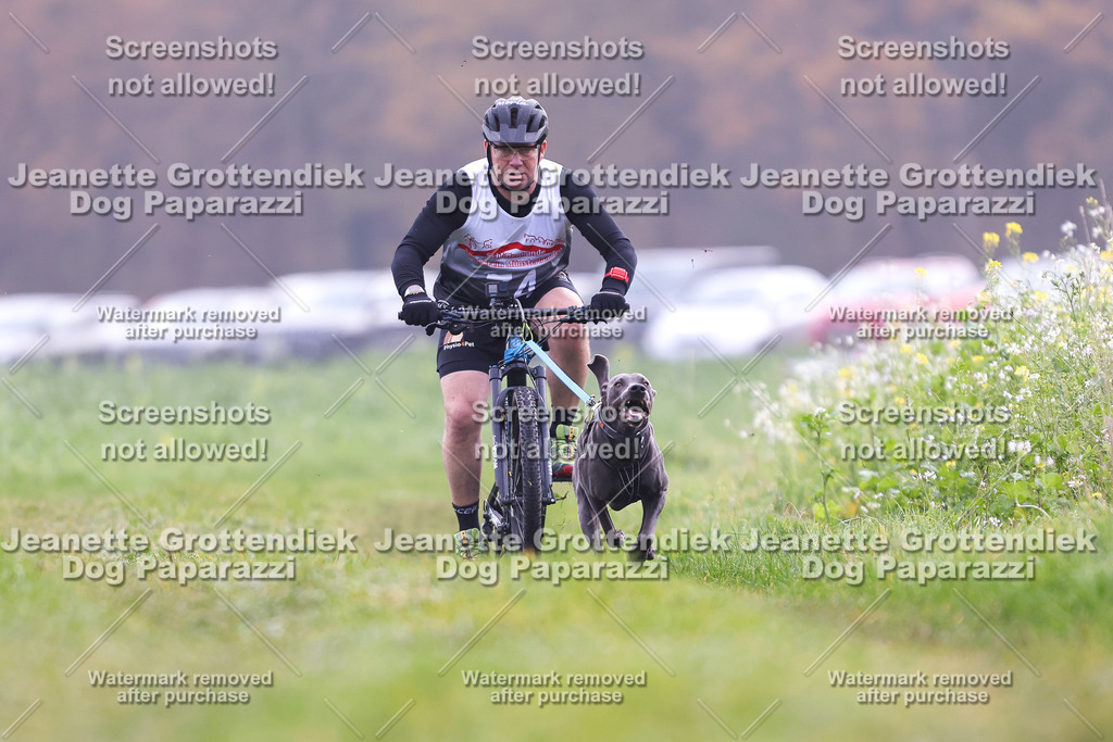 Dog Paparazzi - Visbeck 25 -269 | Dog Paparazzi Jeanette Grottendiek Fotografie & Videografie - Realisiert mit Pictrs.com