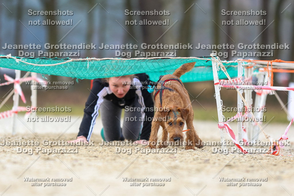 Dog Paparazzi - Strongdog North Mrz26-4041 | Dog Paparazzi Jeanette Grottendiek Fotografie & Videografie - Realisiert mit Pictrs.com
