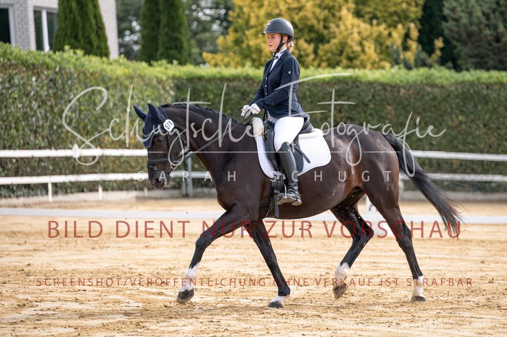Schugtsche-Aluta25-40.DressurprfA_-138 | Schugtsche Fotografie - Realisiert mit Pictrs.com