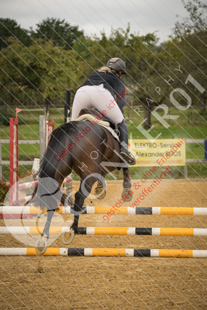 DSC_7342 | Sport-, Event- und Tierfotos in Profiqualität. Einfach auswählen, bestellen und herunterladen. Dein Moment – perfekt festgehalten.