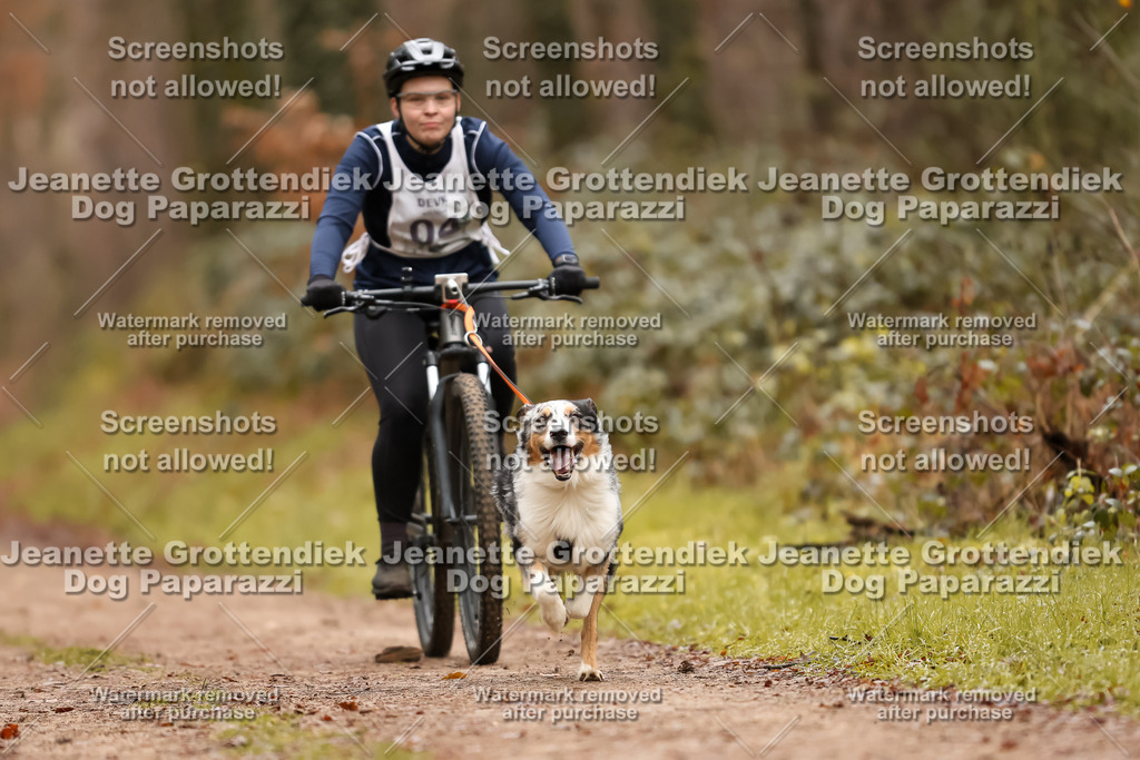 Dog Paparazzi - Speedhunter Mannheim  2025-10 | Dog Paparazzi Jeanette Grottendiek Fotografie & Videografie