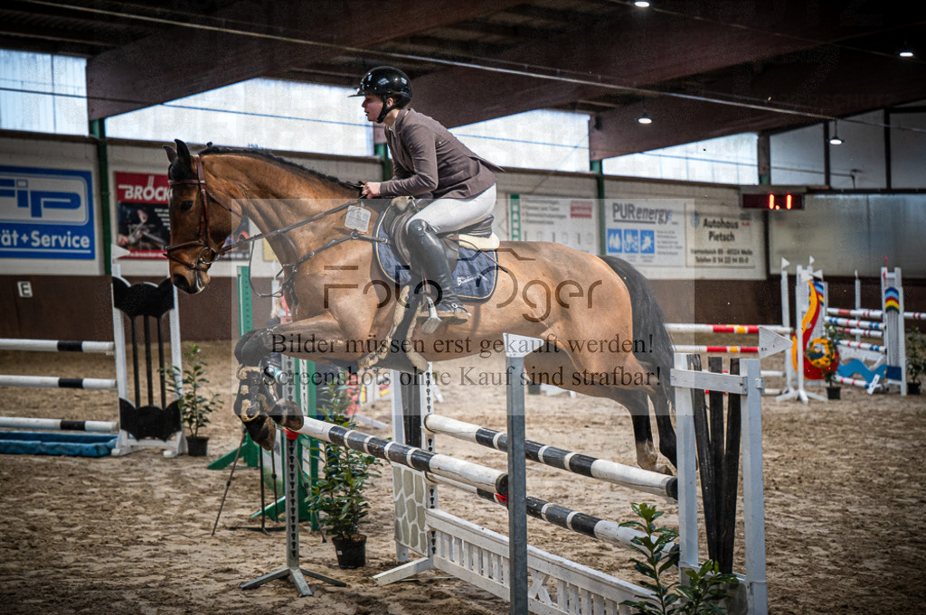Hallenreittunier Voxtrup 2023 | Entdecke hochwertige Reitturnierfotos von Foto Oger. Professionell, emotional und authentisch – jetzt Lieblingsmomente im Shop bestellen.Deutschlandweite Turnierfotografie. - Realisiert mit Pictrs.com