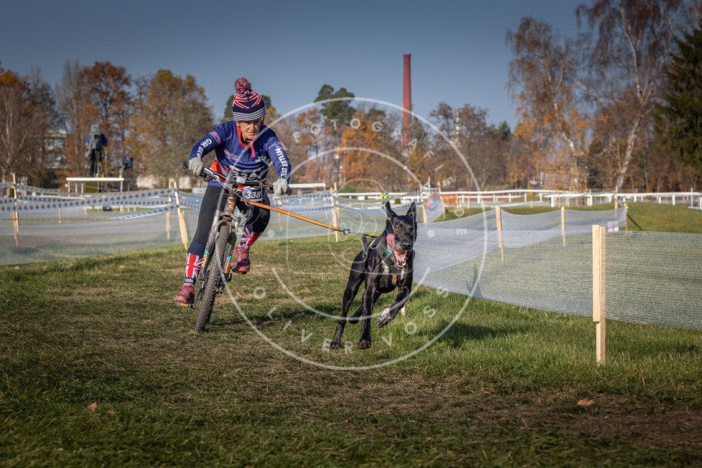 CaniXpix_0L8A7678 | Hundefotografie, Tierfotograf, Pfotenfotografie, Fotoshooting Hund, Hunde Portrait, Hundesport, Hundeportraits, Heideshooting, Hunde, Sportfotograf, Hundefotograf, Turnierhundsport, THS,  - Realisiert mit Pictrs.com