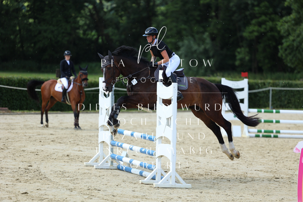 IMGM4429 | pl-fotografie