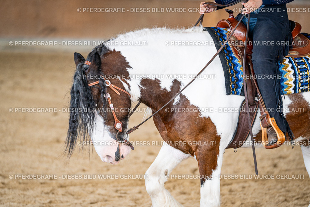 DSC09324 | Pferdegrafie