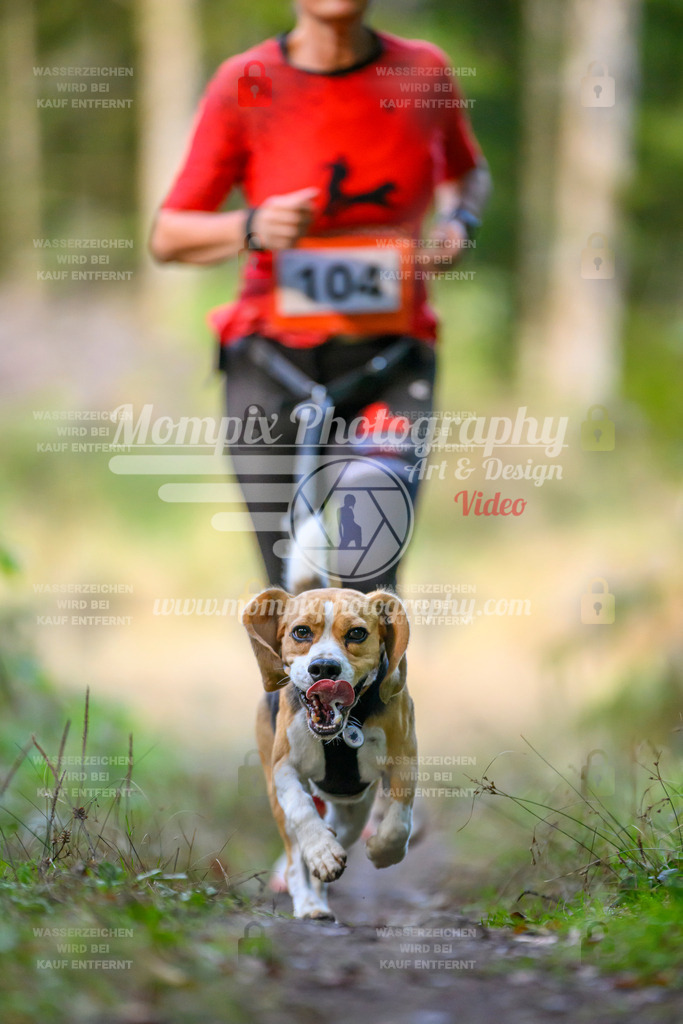 MompixPhotography_Yens2025_B3-41 | PayLife