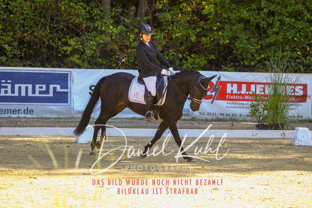 DKP41698 | Turniersportfotografie; Pferdefotografie; Dressurfotografie