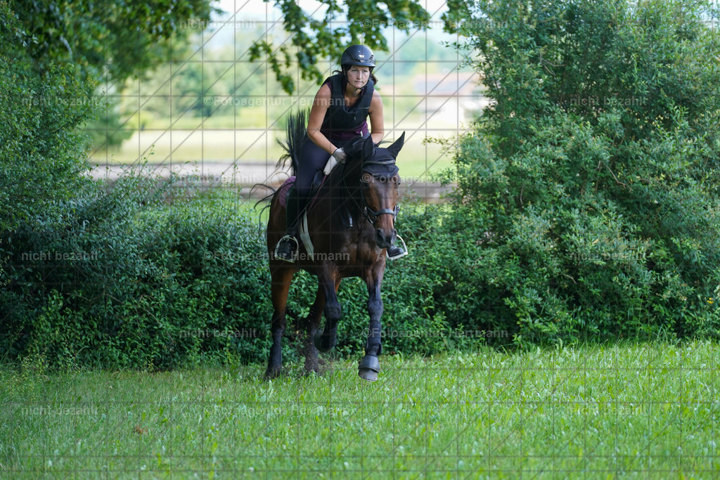 20240622-FAH07716 | Turnierfotografen Bayern, Reitsportbilder aus dem Geländekurs mit Felix Etzel auf dem Gut Waitzacker 2024