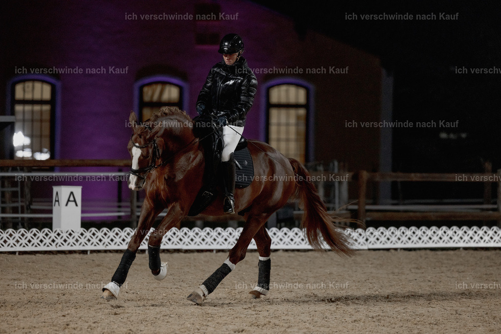 FHClassics-27 | working equitationturnier fotograf videograf stoibphotography marixx film working equitation deutschland reitsport turnierfotografie eventfotografie equestrian events