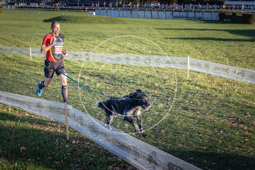 CaniXpix_DV3A2947 | Hundefotografie, Tierfotograf, Pfotenfotografie, Fotoshooting Hund, Hunde Portrait, Hundesport, Hundeportraits, Heideshooting, Hunde, Sportfotograf, Hundefotograf, Turnierhundsport, THS,  - Realisiert mit Pictrs.com