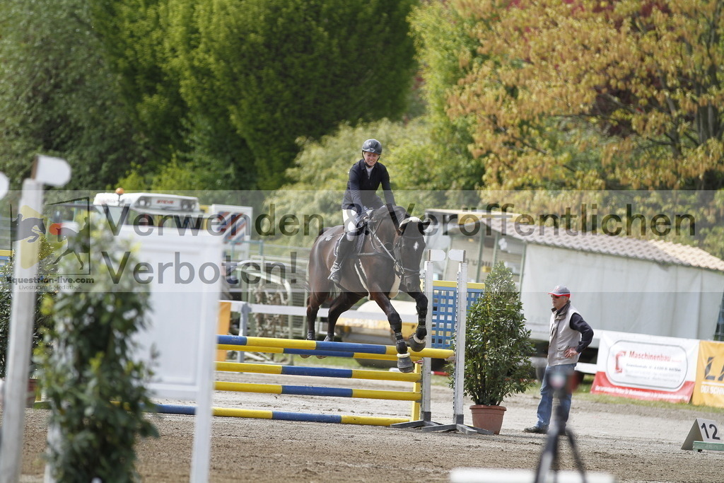 _MG_2006 | equestrian-live-com