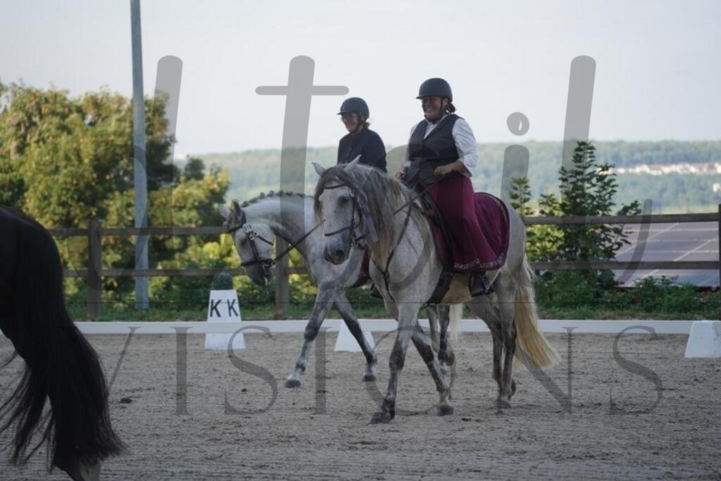 tgbhsamstag (371) | d.tail Visions - Shop - Realisiert mit Pictrs.com