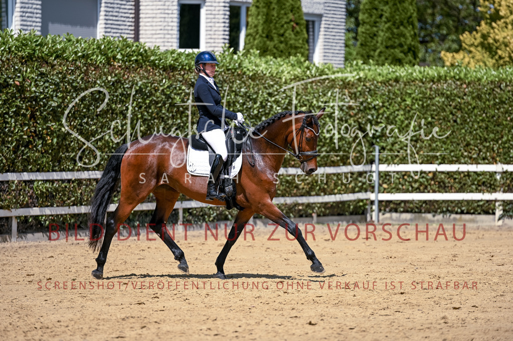 Schugtsche-Aluta25-49.Dressurpferdeprf.A-321 | Schugtsche Fotografie - Realisiert mit Pictrs.com