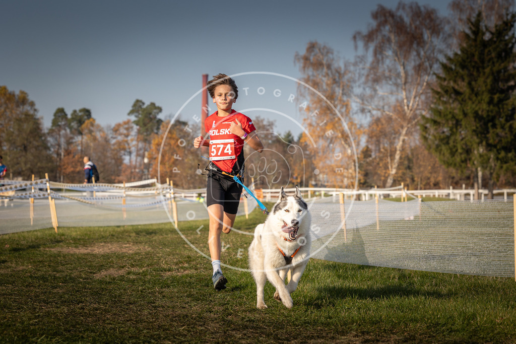 CaniXpix_0L8A9563 | Hundefotografie, Tierfotograf, Pfotenfotografie, Fotoshooting Hund, Hunde Portrait, Hundesport, Hundeportraits, Heideshooting, Hunde, Sportfotograf, Hundefotograf, Turnierhundsport, THS,  - Realisiert mit Pictrs.com