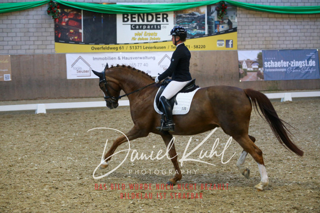 IMG_3005 | Turnierfotos kaufen im Webshop von Daniel Kuhl Photography – entdecke professionelle Reitsportfotos aus Turnieren & Events. Hochwertige Turnierbilder online bestellen & sichern. Jetzt Fotos von Reitsportturnieren kaufen!