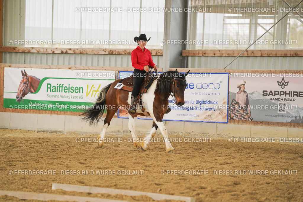 DSC04229 | Pferdegrafie