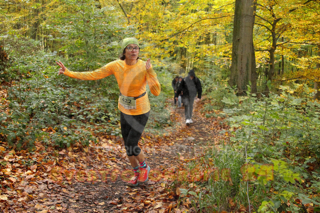 251026_1308_EV4_6569 | Sportfotografie im Rhein-Sieg Kreis, Köln, Bonn, NRW, Rheinland Pfalz, Hessen, etc. Unser Tätigkeitsfeld umfasst den Laufsport vom Volkslauf über den Marathon, Duathlon, Triathon bis zum Ultralauf wie Kölnpfad Ultra oder Schindertrail.