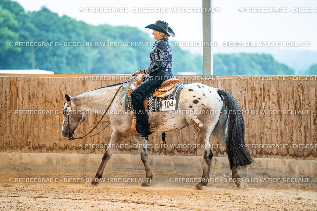 DSC09912 | Pferdegrafie