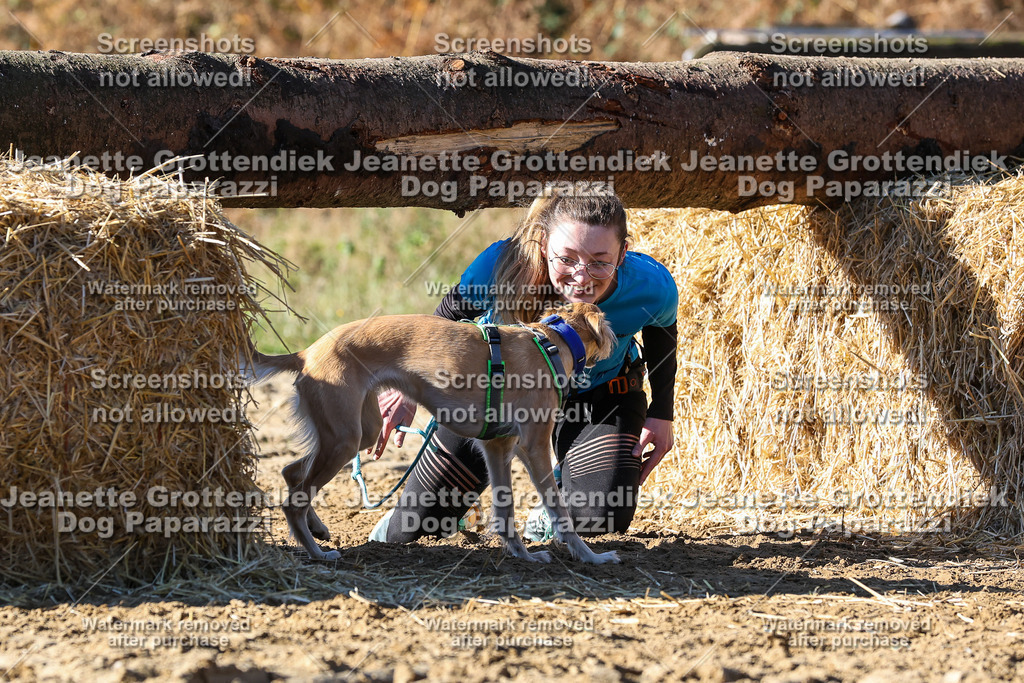 Dog Paparazzi - Strongdog 10-25-2647 | Dog Paparazzi Jeanette Grottendiek Fotografie & Videografie - Realisiert mit Pictrs.com
